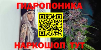 амф Будённовск