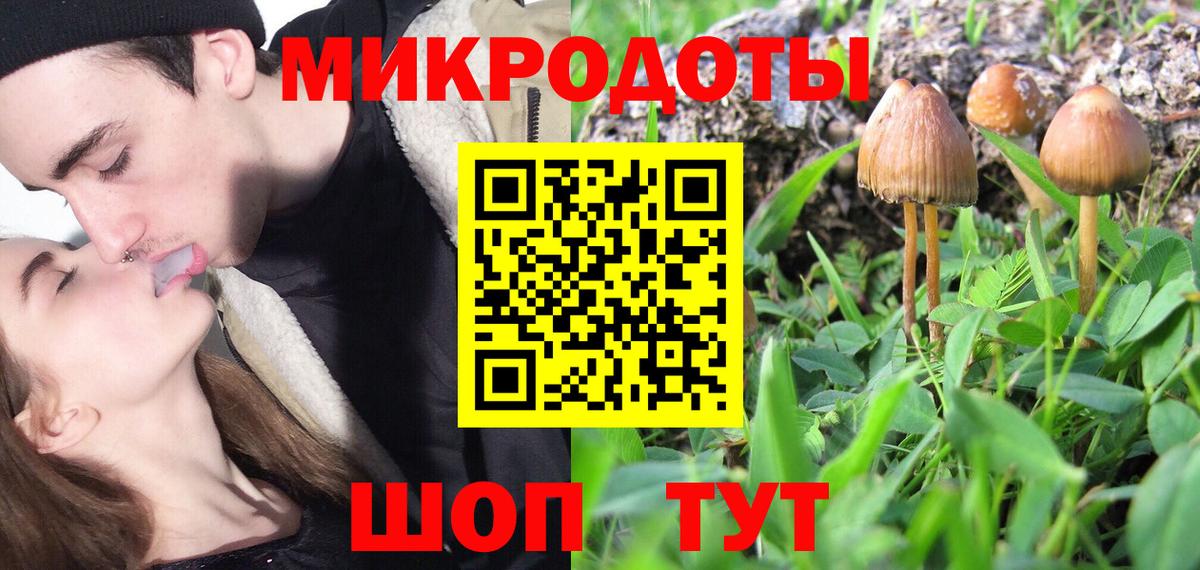 Галлюциногенные грибы GOLDEN TEACHER  Вход с VPN  где найти   Салехард 